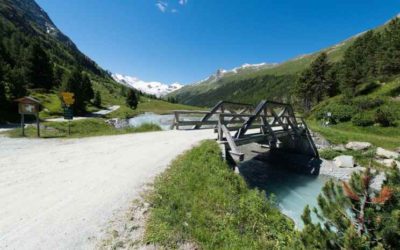 Bike Trail 2-4 Hours Pontresina and Val Roseg